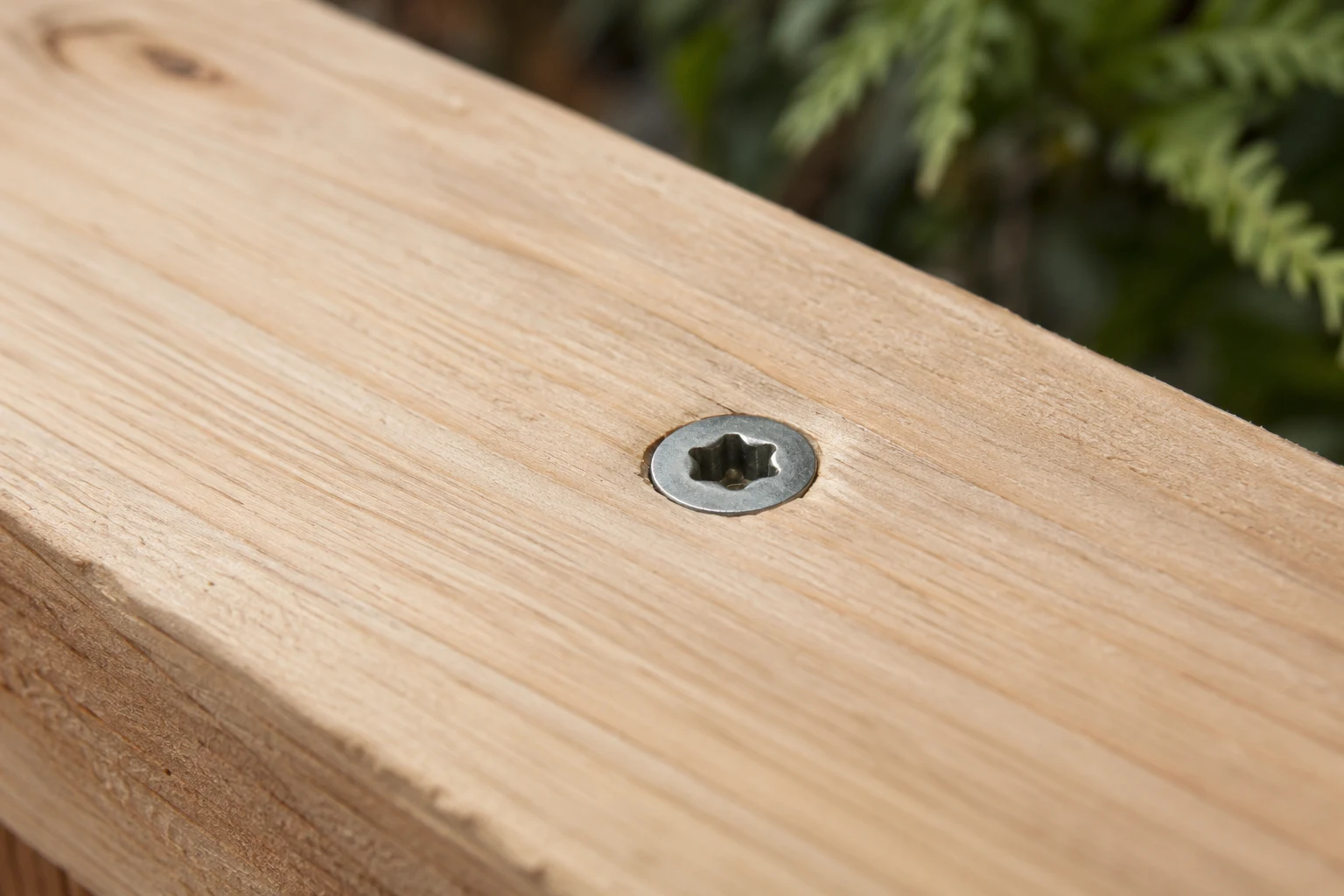 Countersunk screw head seated flush in a cedar board